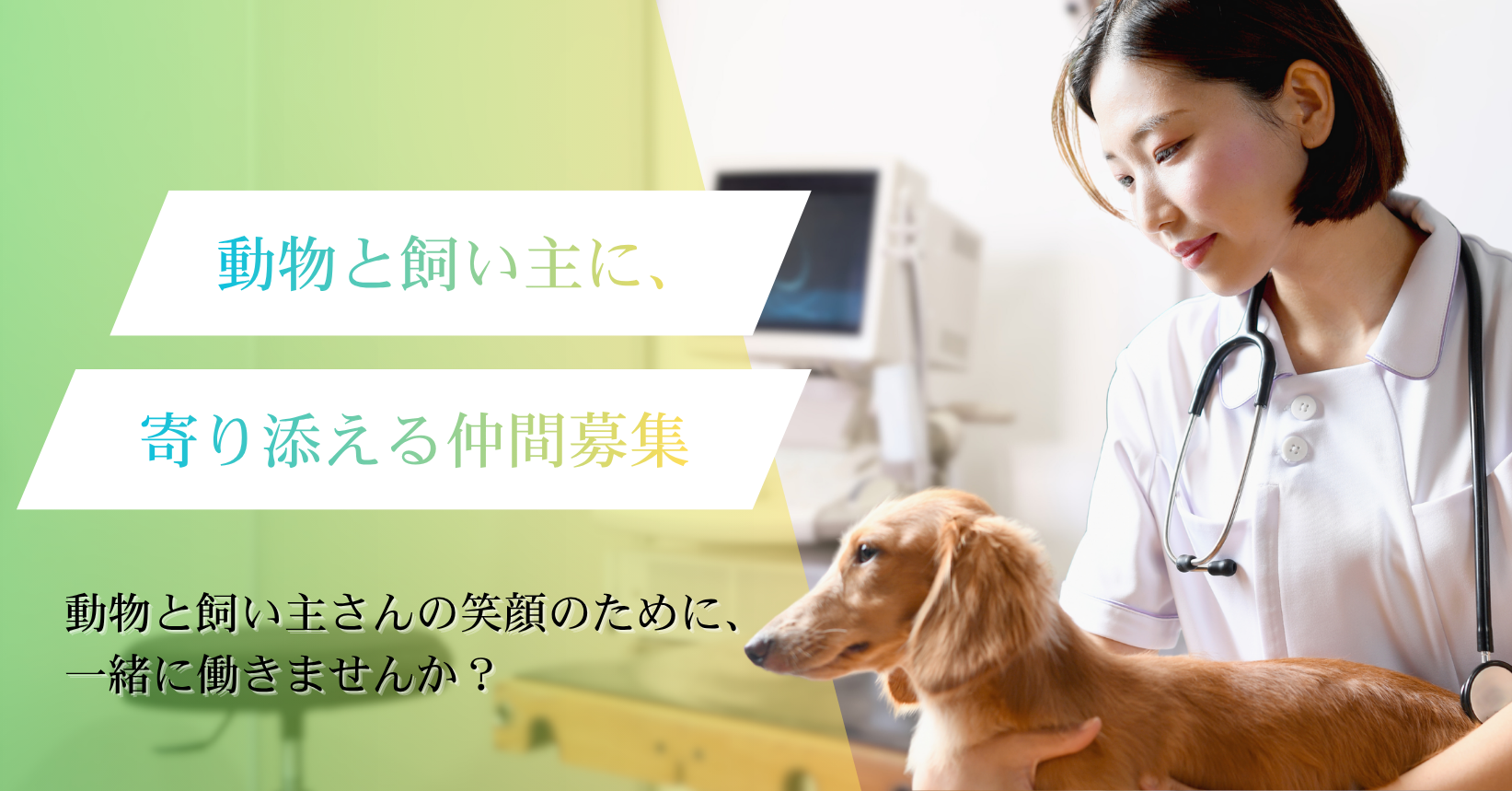 メインビジュアル