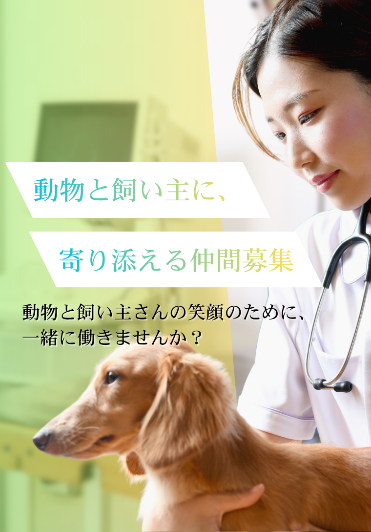 メインビジュアル